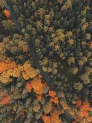 lt;divgt;MMORPG: Obt