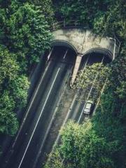 lt;lt;All in, my dec