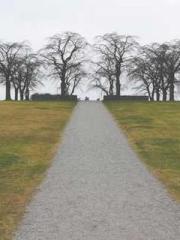 My Sweet Wife: The C