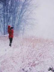 My pets are all amaz