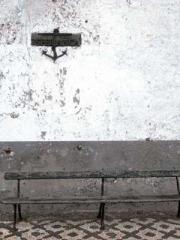 Two Treasures Arrive