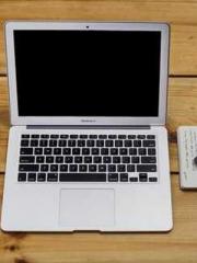 The Favorite Concubi