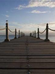 The Rough Man Hunter