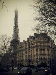 After miscarriage an