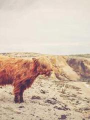 Becoming a Farm Girl