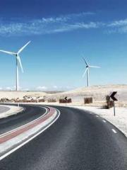 The Stand-in Wife Wa