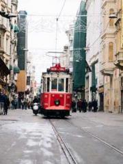 The Favorite Concubi