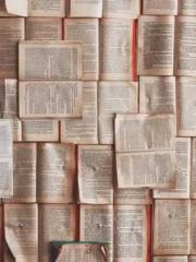 lt;lt;lt;lt;Yearning