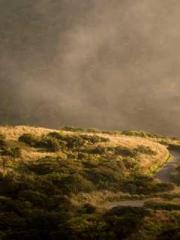 lt;lt;lt;lt;Good-loo