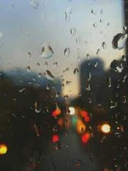 lt;Natural Disasters