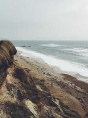 lt;lt;The Heavenly D