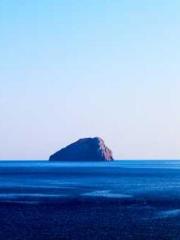 lt;lt;The Trash Husb