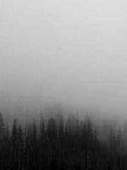 lt;lt;Waste Material