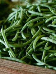 The Hardships of a D