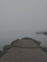 The Return of the Go