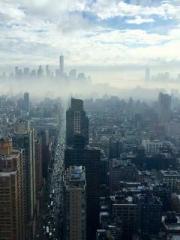 Mr. Gu, your wife is