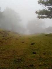 The Imperial Uncleap