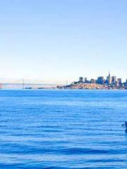 My stunning aunt lt;