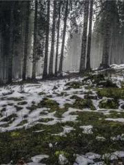 A Second Marriage Mo